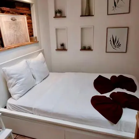 Duplex Au Coeur De Toulouse