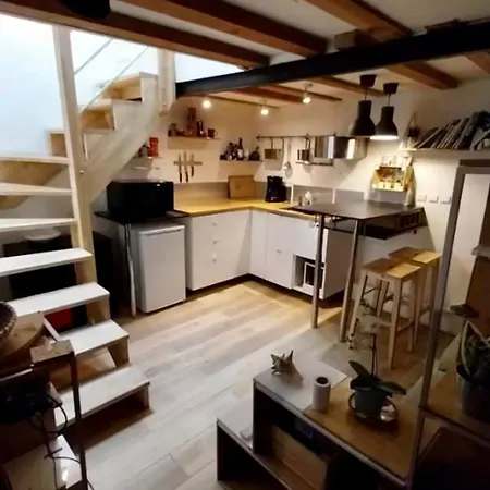 Appartement Duplex Au Coeur De Toulouse