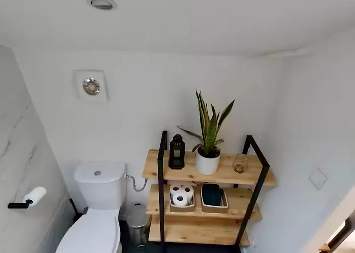 Duplex Au Coeur De Appartement Toulouse