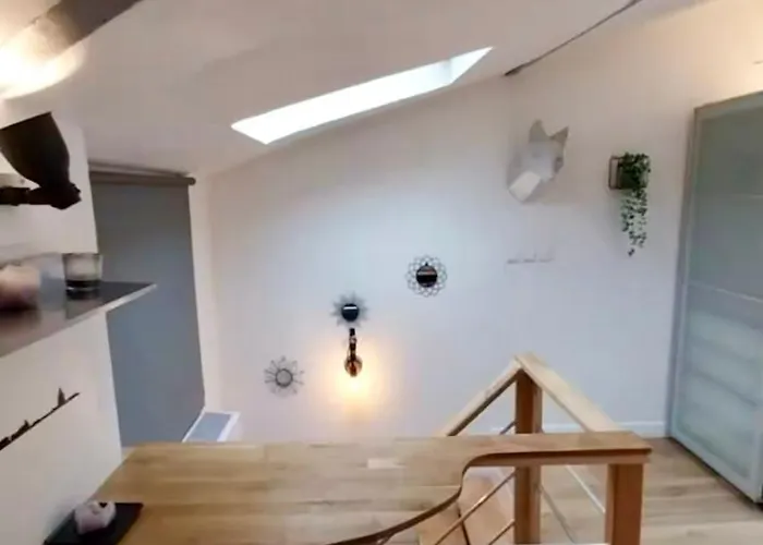 Duplex Au Coeur De 公寓 *